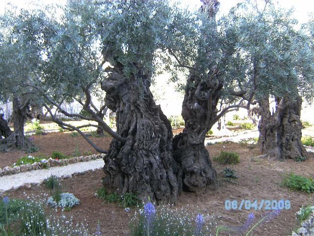 BILD0263.JPG