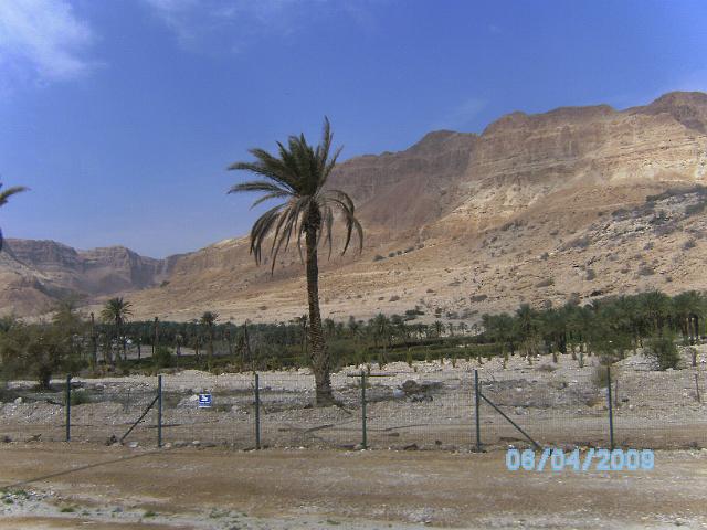 BILD0286.JPG