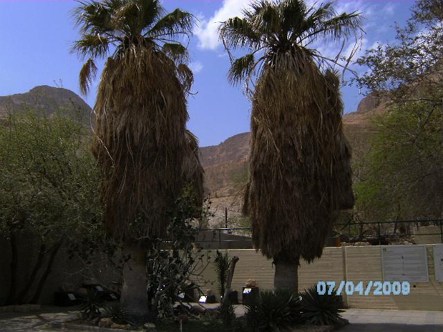 BILD0334.JPG