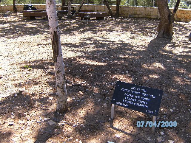 BILD0492.JPG