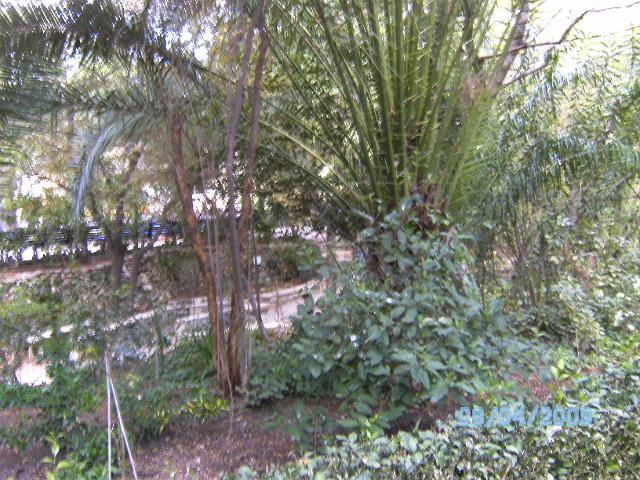 BILD0561.JPG